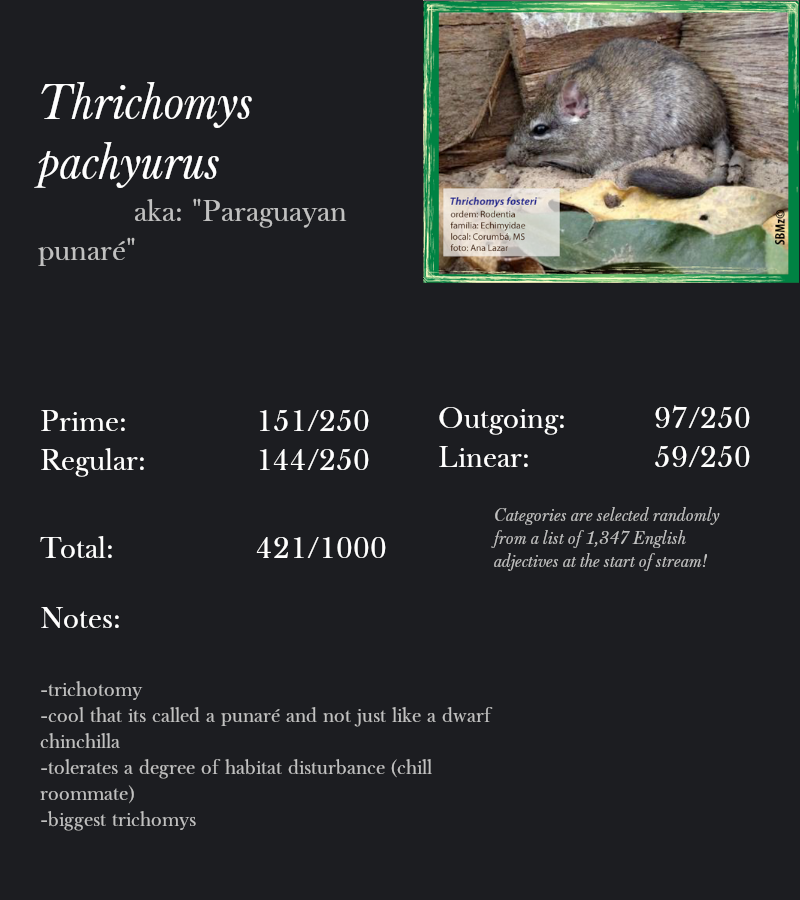 Thrichomys pachyurus